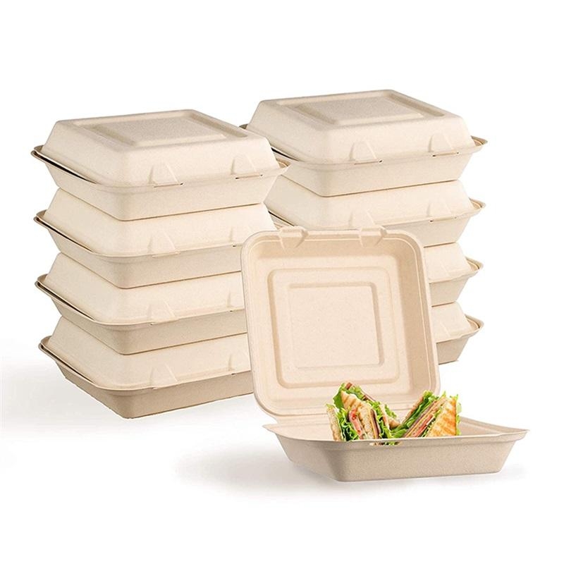 Mannbiotech - 10 Inch 100% Biodegradable Compostable Bagasse Takeaway Container