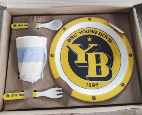 Delivered Order for BSC YOUNG BOYS Kids Dinnerware Sets