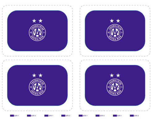 Delivered Order for Fussballklub Austria Wien OEM Dinnerware Sets