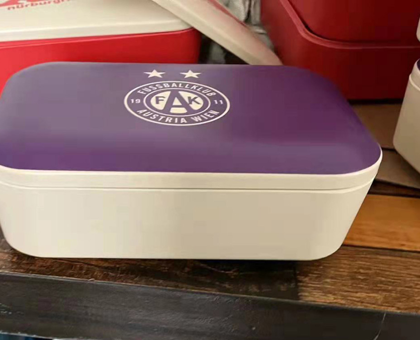 Delivered Order for Fussballklub Austria Wien OEM Dinnerware Sets