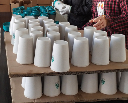 Delivered Order for Un Biodiversity Conference Bulk Sale Coffee Cups