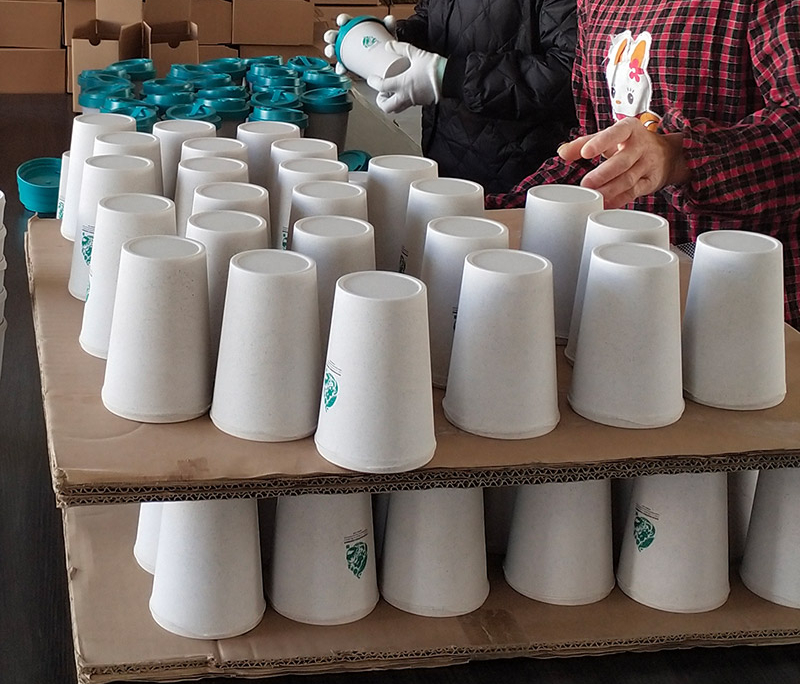 Delivered Order for Un Biodiversity Conference Bulk Sale Coffee Cups