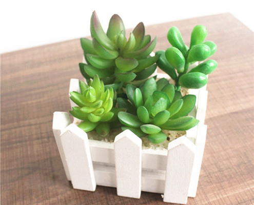 Budget-Friendly Corporate Gift Ideas for Clients - Desk Plants