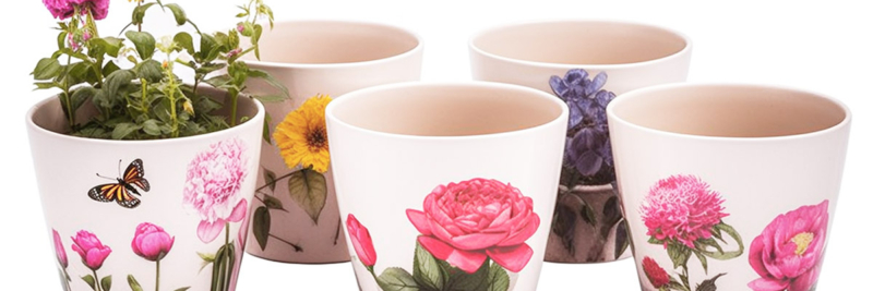 Customized Flower Pots