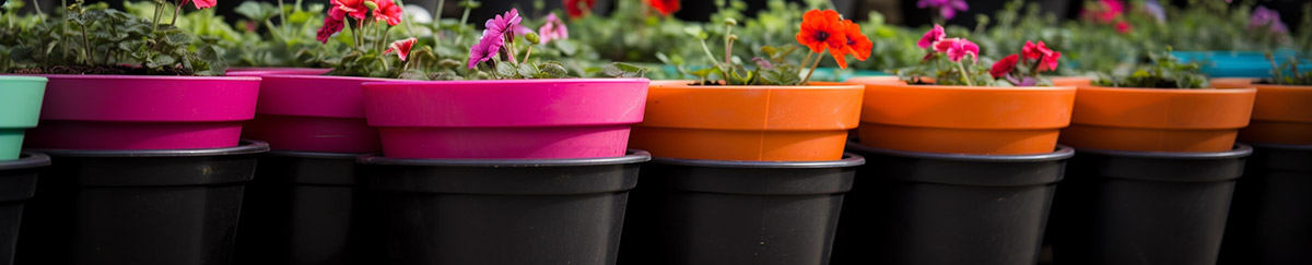 Plastic Flower Pots for Plant Nursery