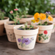 What Materials are Best for Plant Nursery Flower Pots