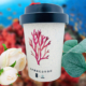 Protect Coral Eco Friendly Coffee Cups Wholesale