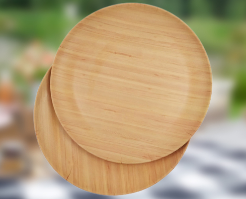 Why Bamboo Fibre Plates are Ideal for Outdoor Picnics