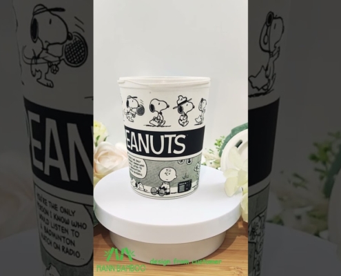Video of Peanuts Snoopy Personalized Cups
